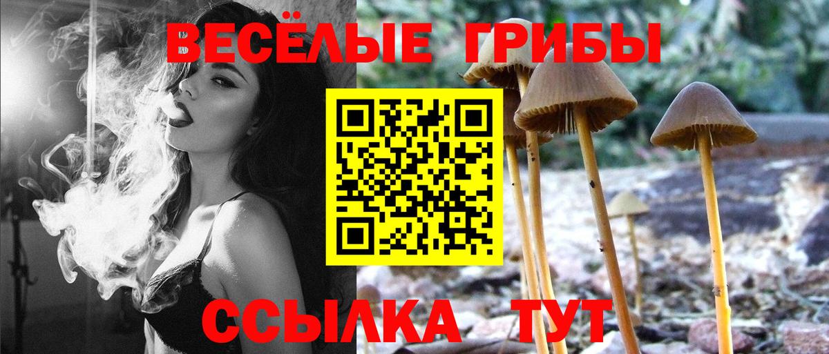 Псилоцибиновые грибы Psilocybine cubensis Пушкино