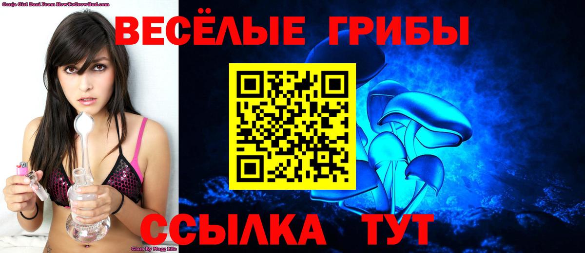 продажа наркотиков  Галлюциногенные грибы Psilocybine cubensis  Вход с VPN  Пушкино 